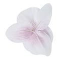 thumbnail image 3 of Lote de 60 Pcs de Mariposa Orquidea de 9 cm Cabeza de Flor Artificial Decoracion para Boda Accesorio para Broche para El Pelo, 3 of 4