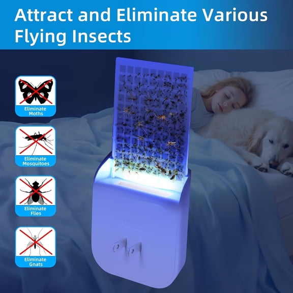 1Pack Indoor Flying Insect Trap, Purple Night Light Bug Catcher, Effective Gnat & Fruit Fly Trap with 5-Sticky Boards, Ideal for Home & Office Use