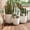 Beige, variant on Mintazer Modern Planter Set of 3, 16.93"+13.78"+11.02" Round Stackable Flower Pots with Drainage Holes and Rubber Plug, Crackle Stone Texture Decorative Plant Pots for Indoor & Outdoor, Gray