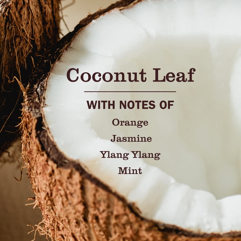 Mrs. Meyer's Pet Stain & Odor Fighter, Coconut Leaf, 16 oz photo 2