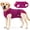 Red, variant on Amztom Dog Recovery Suit, Breathable Cotton Post-Surgery Onesie with Double-Layer Abdominal Protection, Adjustable Elastic Waist, Back Snaps, Rose Red, XS