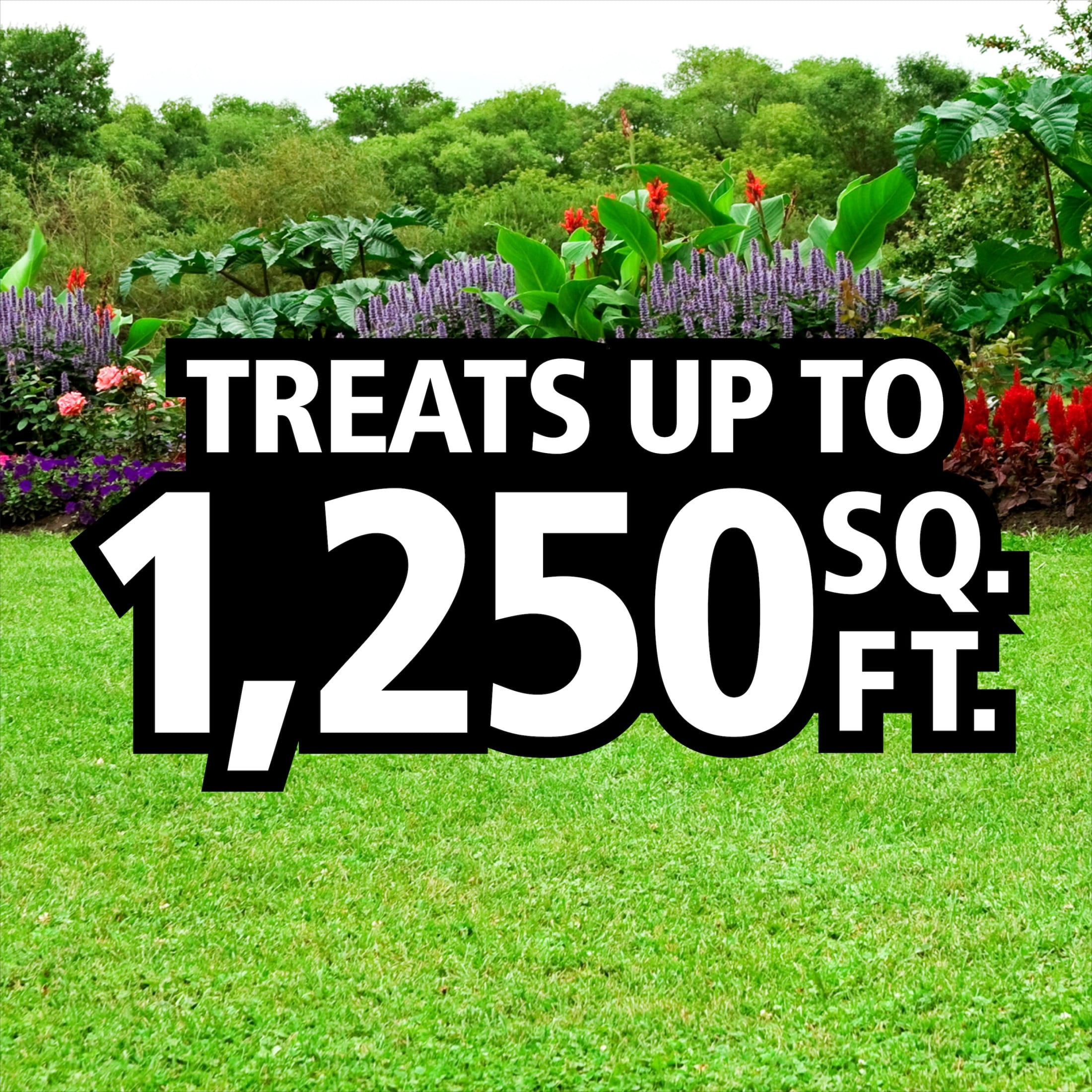 Lilly Miller Moss Out! Spot Treater for Lawns & Flower Beds, Herbicide, 5lb. 1 pack