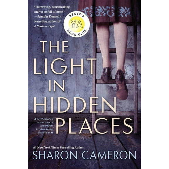 The Light in Hidden Places, (Paperback)