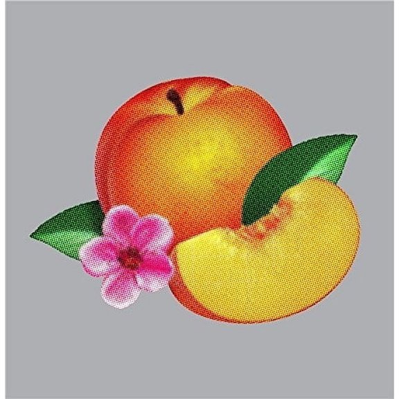 Bankrupt (CD) (Digi-Pak)