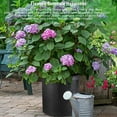 thumbnail image 6 of Grow Bags Tall, Fabric Plant Bag Pots with Handles for Vegetables, Flowers Trees, 6 of 8