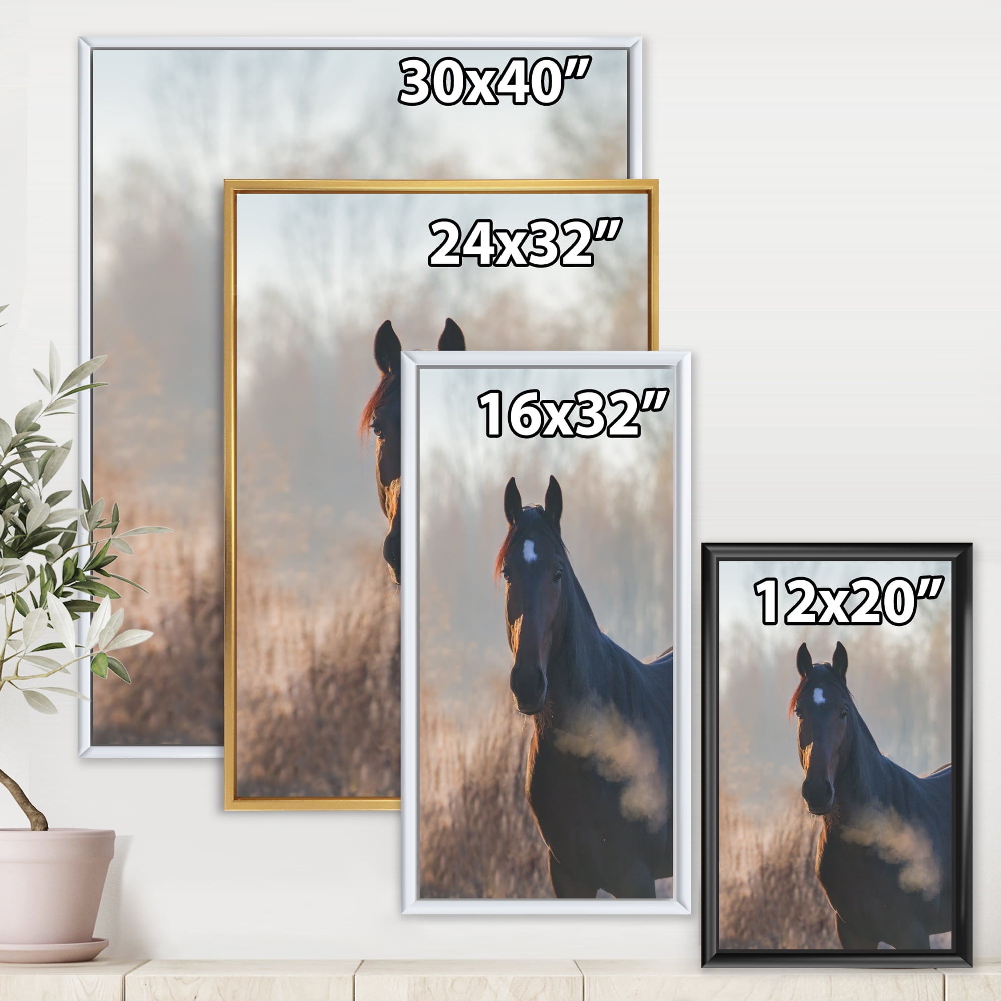 Designart 'Close Up Portrait Of A Horse On An Autumn Morning' Farmhouse Framed Canvas Wall Art Print