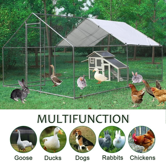 Chicken Coops 10 Chickens