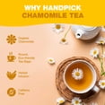 thumbnail image 4 of HANDPICK, Organic Chamomile Tea Bags (100 Herbal Tea Bags) Caffeine Free| Premium Floral Chamomile Herbal Tea in Eco-Conscious Teabags | Direct from Source, 4 of 10