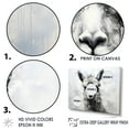 thumbnail image 4 of Designart "Monochrome Majesty Of Alpaca" Alpaca Picture Framed Canvas Prints, 4 of 5