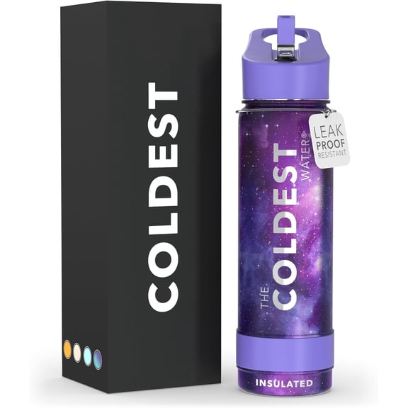 Insulated Stainless Steel Water Bottle with Straw Lid (24 oz Astro Purple)