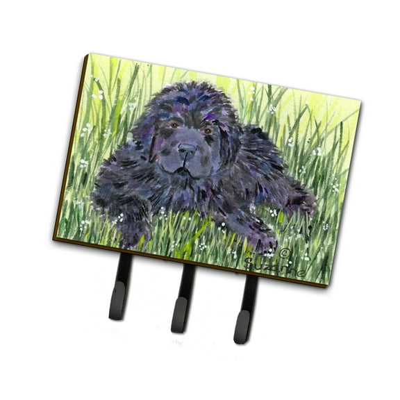 Carolines Treasures SS8872TH68 Newfoundland Leash Holder or Key Hook, Large, Multicolor