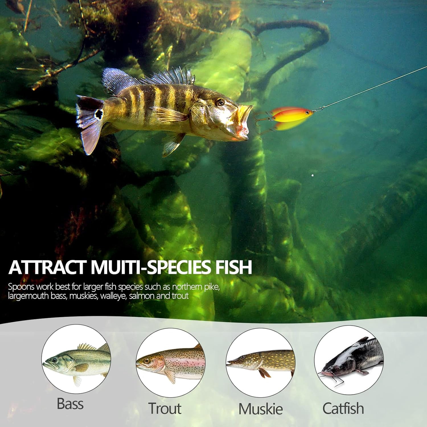 QualyQualy 30Pcs Fishing Lures Baits Tackle, Fishing Spoon Lure Spinnerbait Bass Walleye Trout Salmon Hard Metal Spinner Baits Kit