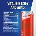 thumbnail image 4 of Red Bull Red Edition Energy Drink, Watermelon, 80mg Caffeine, 8.4 fl. oz., Pack of 4 Cans, 4 of 18