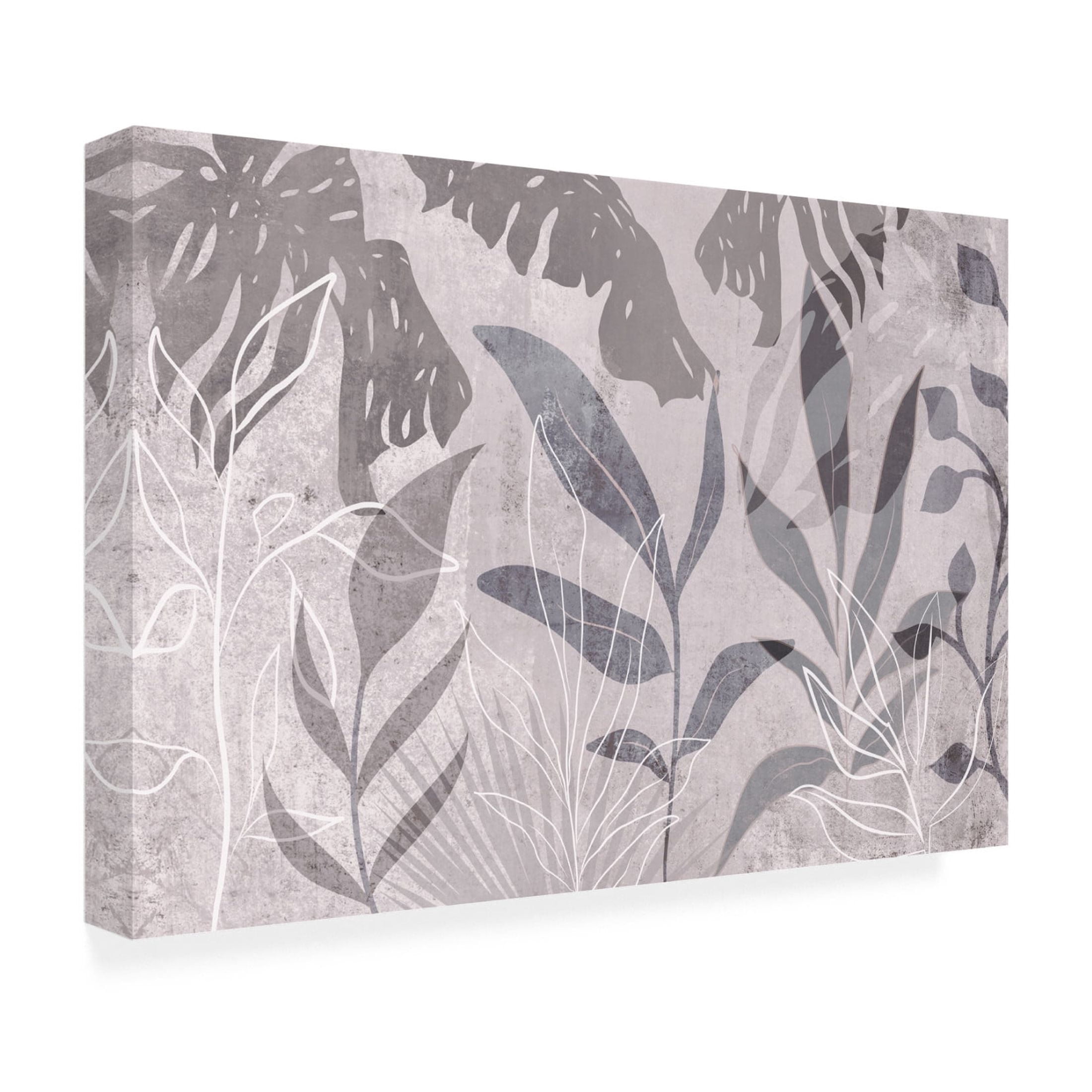 Trademark Fine Art Andrea Haase Modern Botanical No2 Canvas Wall Art