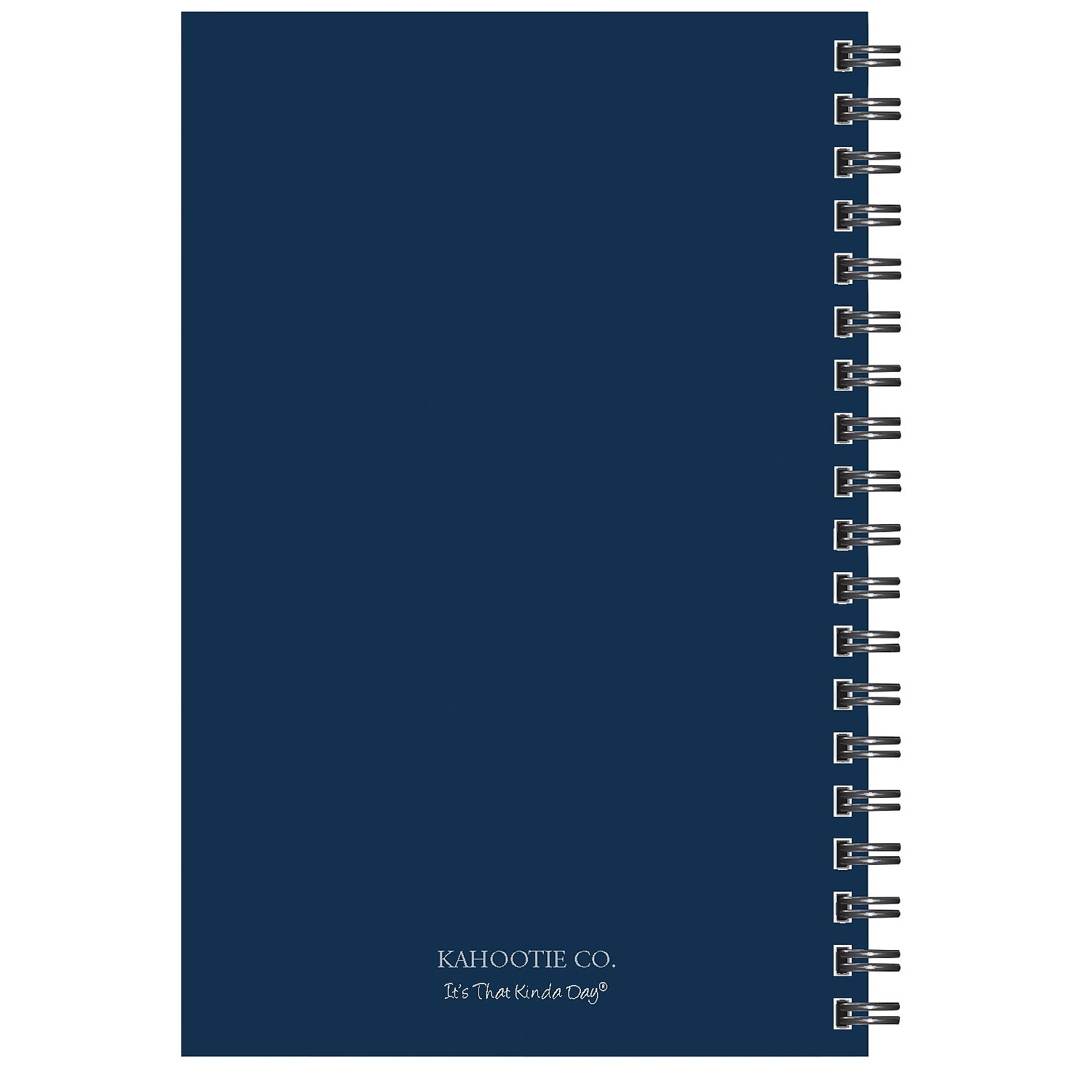 Kahootie Co. Kahootie Co Weekly Planner, 6-inch x 9-inch, Teal Polka Dot (ITKWTPD)