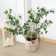 thumbnail image 2 of OROMYO 2 Ramas de Imitación Artificial Tallos Verdes Reutilizables Ramita de Imitación Ficus con Hojas de Eucalipto Verdes Imitación Decorativa Realista Planta Verde de Simulación Plants para Jardín Balcón, 2 of 9