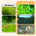 thumbnail image 5 of Meggemo Fish Tank Algae Remover Remove Algae Moss Purify Water Keep Water Clean Safe For Fish For Fish Tank Aquarium Daily Aquarium Maintenance Tool, 5 of 8