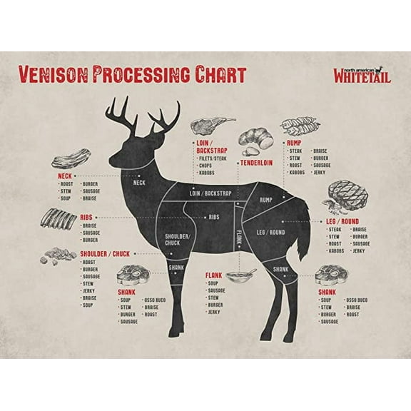Iconic Arts Cuts of Venison Butcher Chart Poster 24x36