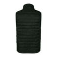 thumbnail image 2 of Burnside Elemental Puffer Vest, 2 of 4