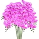 thumbnail image 1 of Uxcell 6-Pack Flores de Orquídea Artificial 9 Pétalos Grandes 37 Pulgadas Ramo de Phalaenopsis de Seda Morado Falsas Orquídeas para el Hogar/Boda, 1 of 1