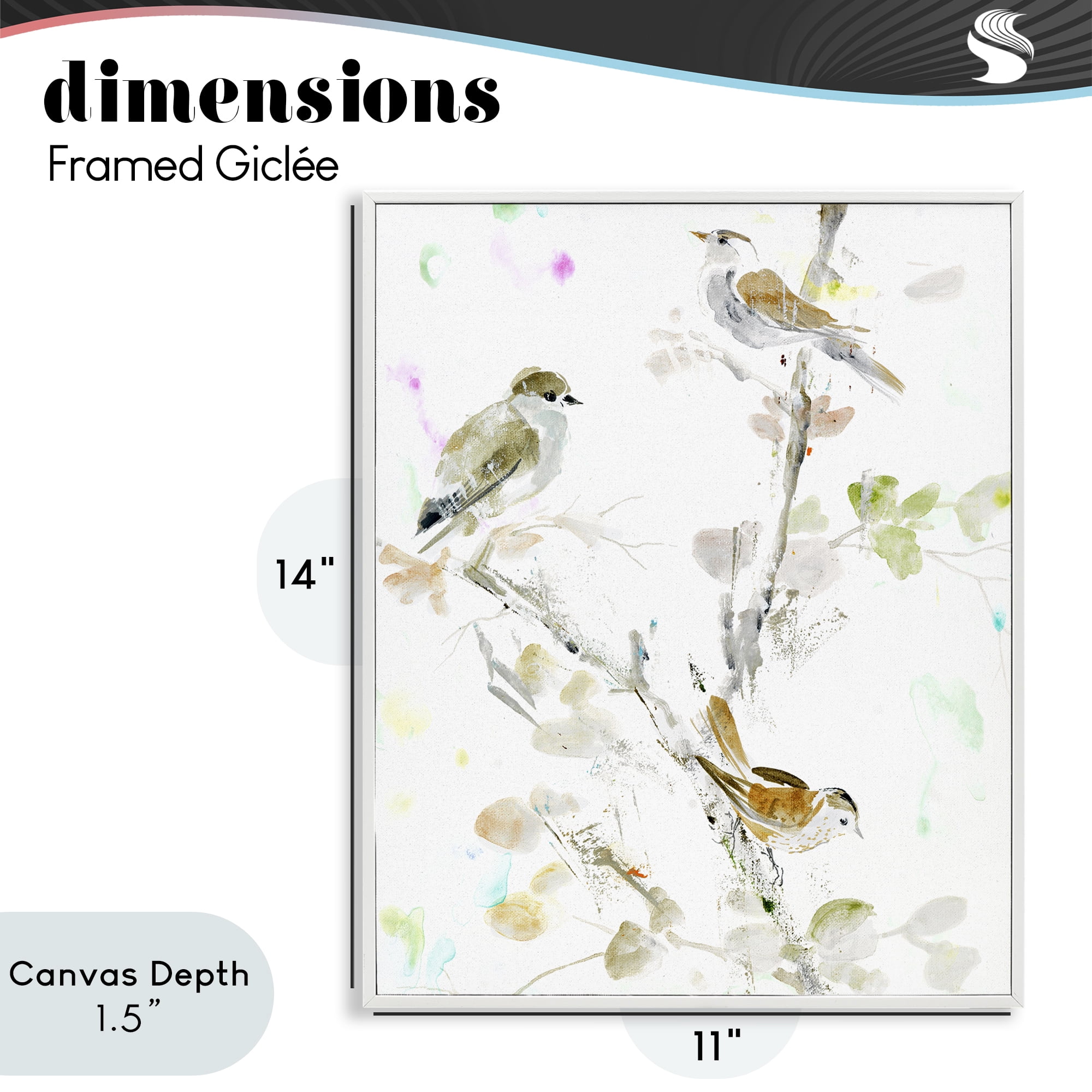 Stupell Industries Delicate Feathers Trio White Framed Giclee Art, design by Lorenzo Collective