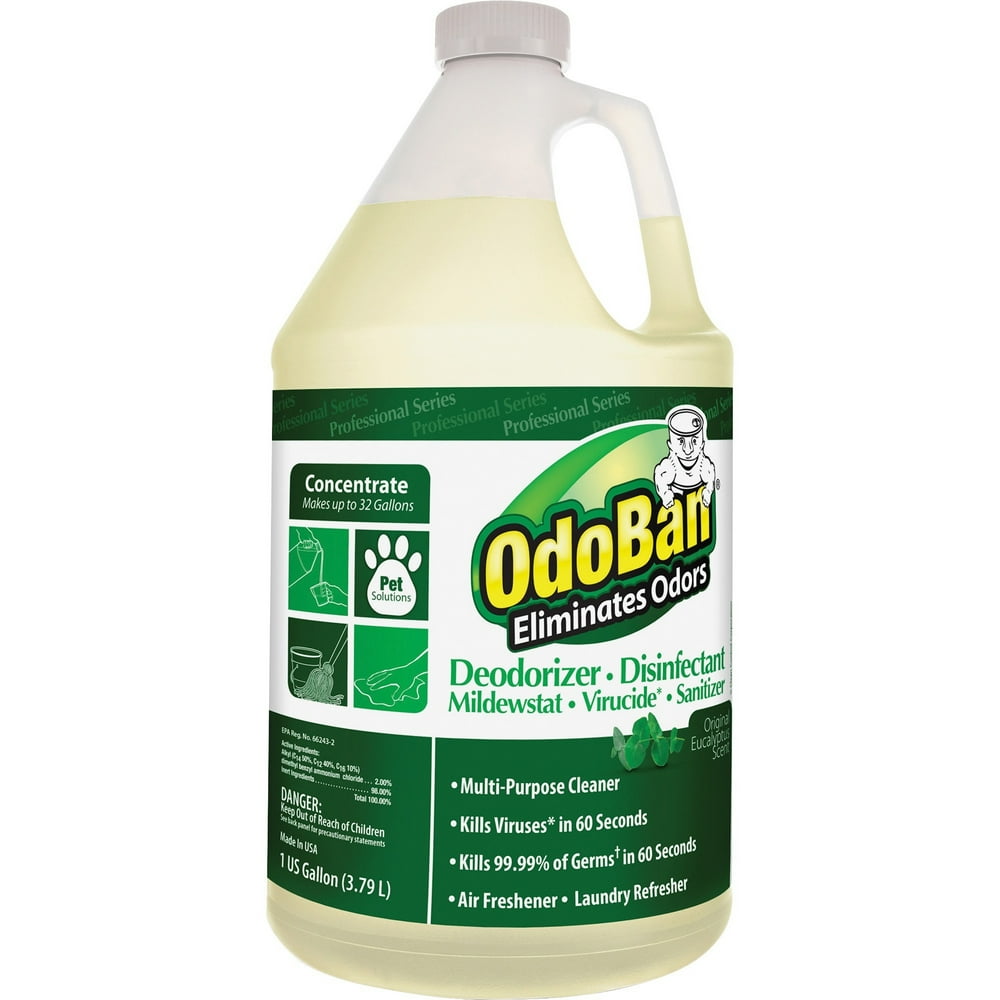 OdoBan, ODO911062G4, Eucalyptus Multipurp Cleaner Concentrate, 1 Each