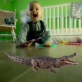thumbnail image 3 of Educational Animal Toy Crocodile Model Lifelike Animal Figurine for Kids' Educational Playtime Brain Development Durable Detailed for Children, 3 of 8