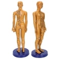 thumbnail image 4 of Modelo de Acupuntura del Cuerpo Humano, Letras Claras, Diseño Estable Para Enseñanza, Acupuntura, Masaje, Con Base y Soporte Grandes, Material de PVC, Color Cobre, Acupuntura, 4 of 7