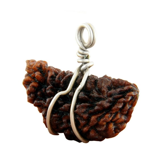 One Face Rudraksha Pendant,1 Mukhi Rudraksha Bead pendant, Dark Brown One Face Rudraksha, Rudraksha For Every Person, Half Moon Rudraksha