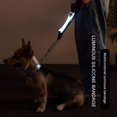 thumbnail image 2 of Baozhu LED Dog Collar, Waterproof Durable Glowing Dog Collar 6 Colors for Choice, 2 of 9