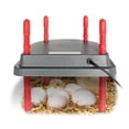 thumbnail image 4 of Brooder Heater for Chicks with Anti Roost Cone, Chick Brooder Heating Plate with Adjustable Heights, 4 of 5