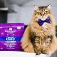 thumbnail image 3 of Stella & Chewy’s Absolutely Rabbit Freeze-Dried Raw Dinner Morsels, 3 of 3