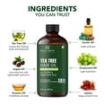 thumbnail image 6 of Botanic Hearth 100% Pure Tea Tree Oil For Hair Growth | Infused with Jojoba & Grapeseed Oils | Hair Oil Repairs Dry Damaged Hair, Strengthening, Healthier - Hair Tonic, 2.0 fl oz, 6 of 9