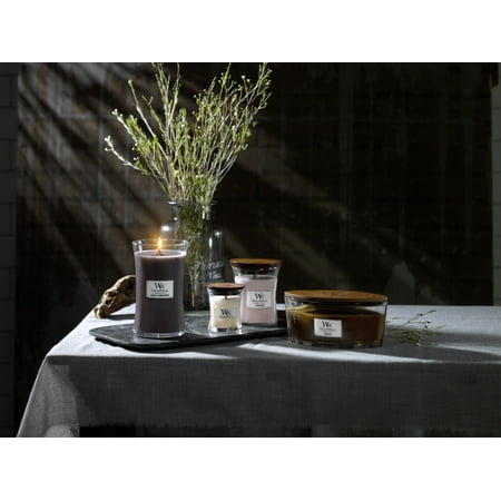 WoodWick Premium Candle - Soy Wax Blend - Ellipse Collection Scented Candle - 16 oz, Humidor
