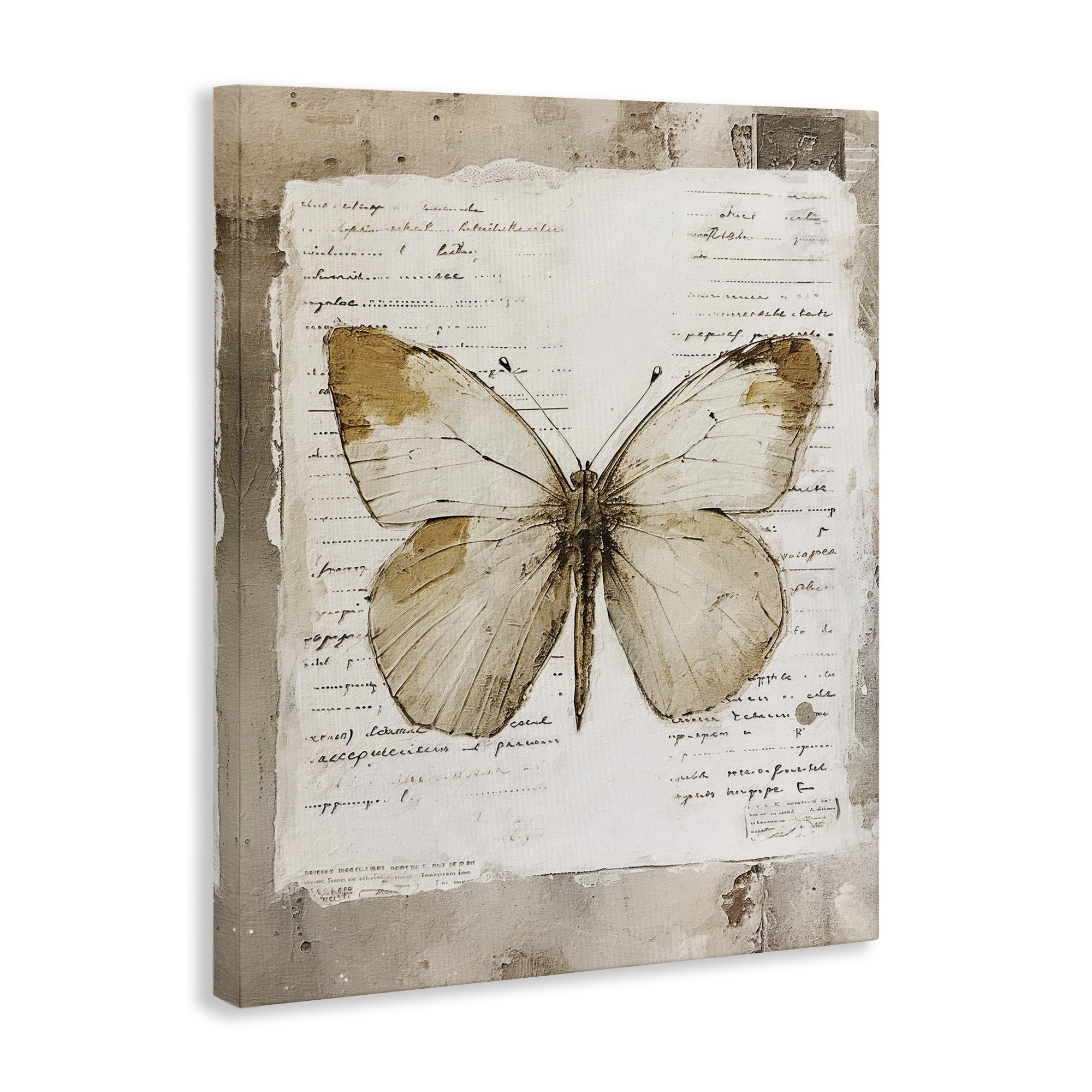 Stupell Industries Rustic Butterfly Collage Animals Painting Wrapped Canvas Art Print Wall Art, 36 x 48