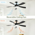 thumbnail image 6 of Noaman 52 Inch Black Modern Ceiling Fan with LED Light, Remote Control, 6-Speed Reversible DC Motor, 5 ABS Blades for Indoor Outdoor Use, 6 of 8