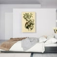 thumbnail image 2 of ARTCANVAS Bachman Warbler Canvas Art Print by John James Audubon - Size: 40" x 26" (0.75" Deep), 2 of 9
