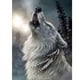 thumbnail image 1 of 5D diamante pintura Animal lobo completo redondo taladro DIY mosaico imagen pared artesanía Hugtrwg Para estrenar, 1 of 1