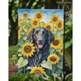 thumbnail image 4 of Curly-Coated Retriever in Sunflowers Garden Flag 11.25 in x 15.5 in, 4 of 5