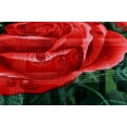thumbnail image 5 of Virtu 12 Lbs Plush Fleece Blanket, 2 Ply Thick Heavy Reversible Raschel Korean Style Warm Bed Blanket, King, Green Rose, 5 of 5
