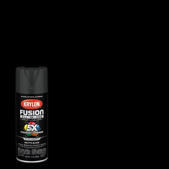 Krylon Fusion All-In-One, Matte, Black, 12 oz