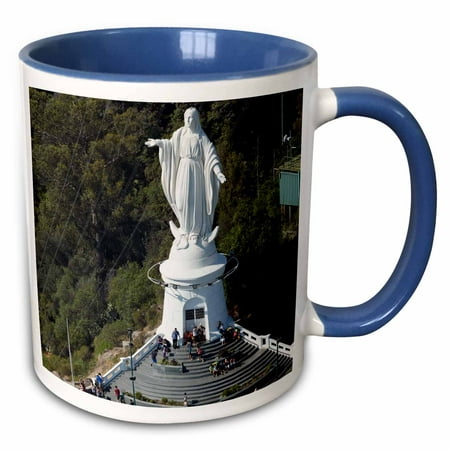 

3dRose Chile Santiago Virgin Mary Cerro San Cristobal - SA05 DWA0043 - David Wall - Two Tone Blue Mug 11-ounce