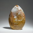 thumbnail image 3 of Polished Ocean Jasper from Madagascar (3.9 lbs), 3 of 5