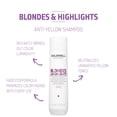thumbnail image 2 of Champú Goldwell Dualsenses Blondes & Highlights 300 ml, 2 of 8