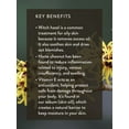 thumbnail image 4 of DERMAGLOVE BODY REVIVAL Hydrating Mist – Aloe & Witch Hazel Body Spray | 8-Hour Moisture Boost with Bamboo, Cucumber & Persimmon | Clean, Non-Toxic, Vegan 8 oz Sprayer, 4 of 8