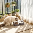 thumbnail image 6 of Tuvgenk 2-in-1 Cat & Dog Bowl Set with Automatic Water Dispenser & Food Tray Non-Slip Pet Feeder 10.63" Purple, 6 of 6
