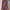 Purple, variant on Sakmal Bikini Sets for Women Casual Green Cheeky Two Piece Swimwear Push Up Triangle Padded Swimsuit Sets