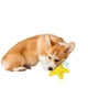 thumbnail image 3 of Juguetes para perros, juguetes masticables para perros, goma antimordeduras con forma de estrella de mar, limpieza de dientes adecuada para perros pequeños y medianos., 3 of 5