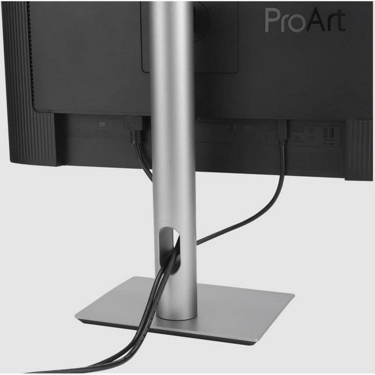 ASUS ProArt 24.1 ASUS ProArt 24.1