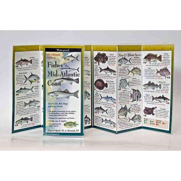FoldingGuides: Fishes of the Mid-Atlantic Coast (Other)